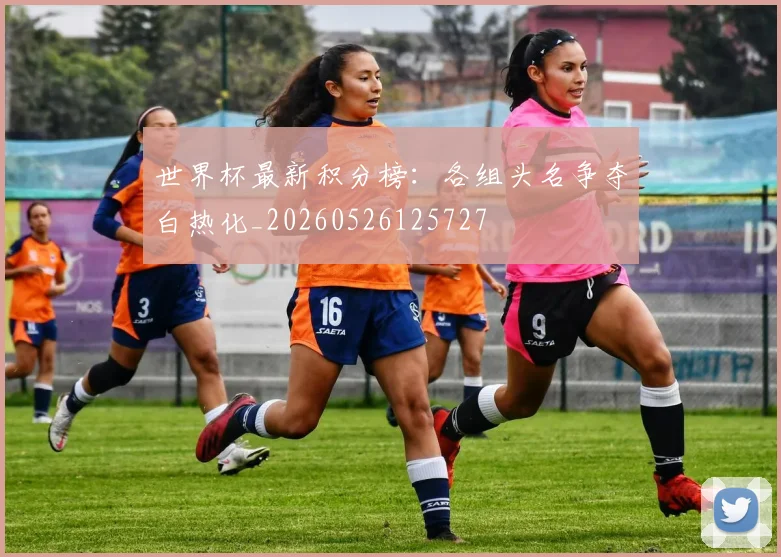 世界杯最新积分榜:各组头名争夺白热化_20260526125727