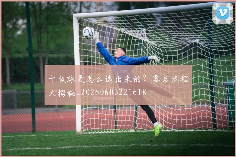 十佳球是怎么选出来的?幕后流程大揭秘_20260603221618